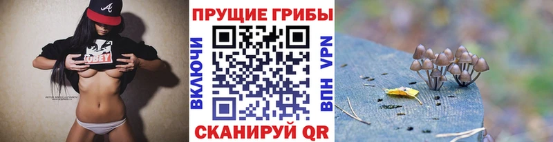 Псилоцибиновые грибы GOLDEN TEACHER  Алапаевск 